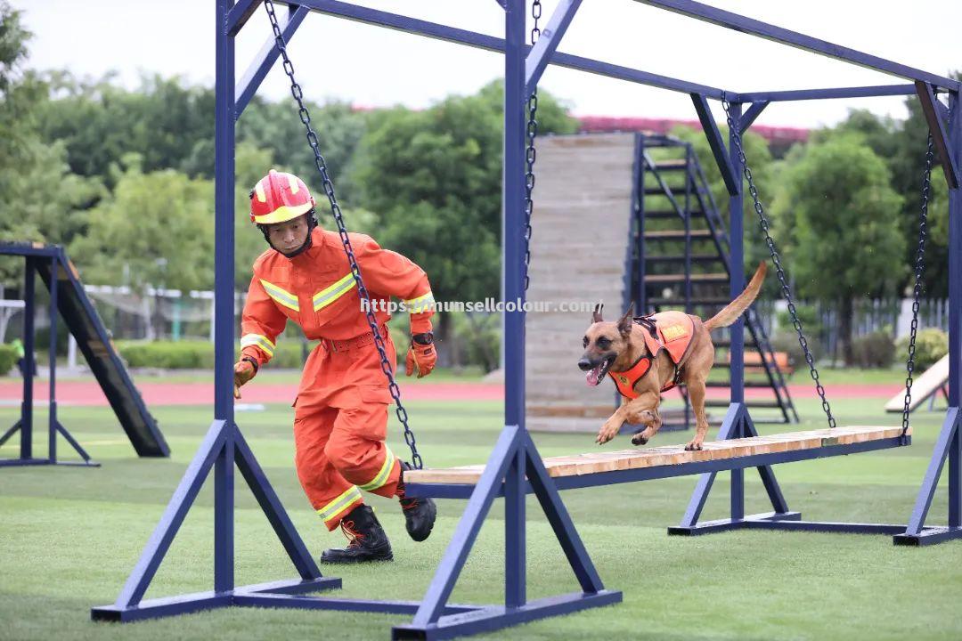 甘肃队实力较弱，需加强训练提升竞技水平